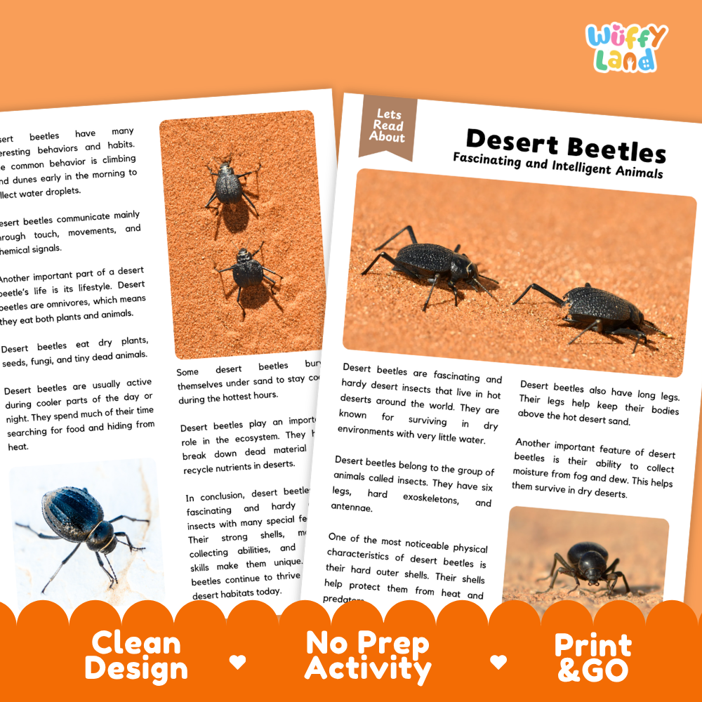 Desert Beetle Reading Passage and Comprehension Questions Worksheets