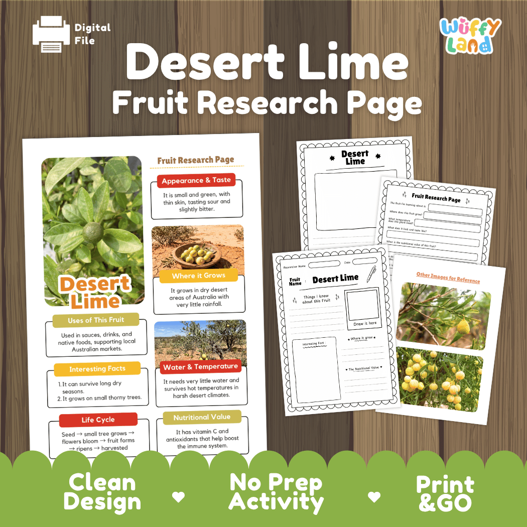 Desert Lime Fruit Research Page Worksheets and Fact Sheet