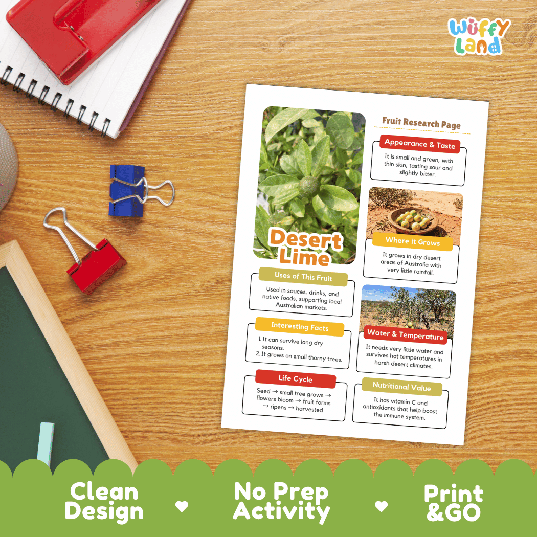 Desert Lime Fruit Research Page Worksheets and Fact Sheet