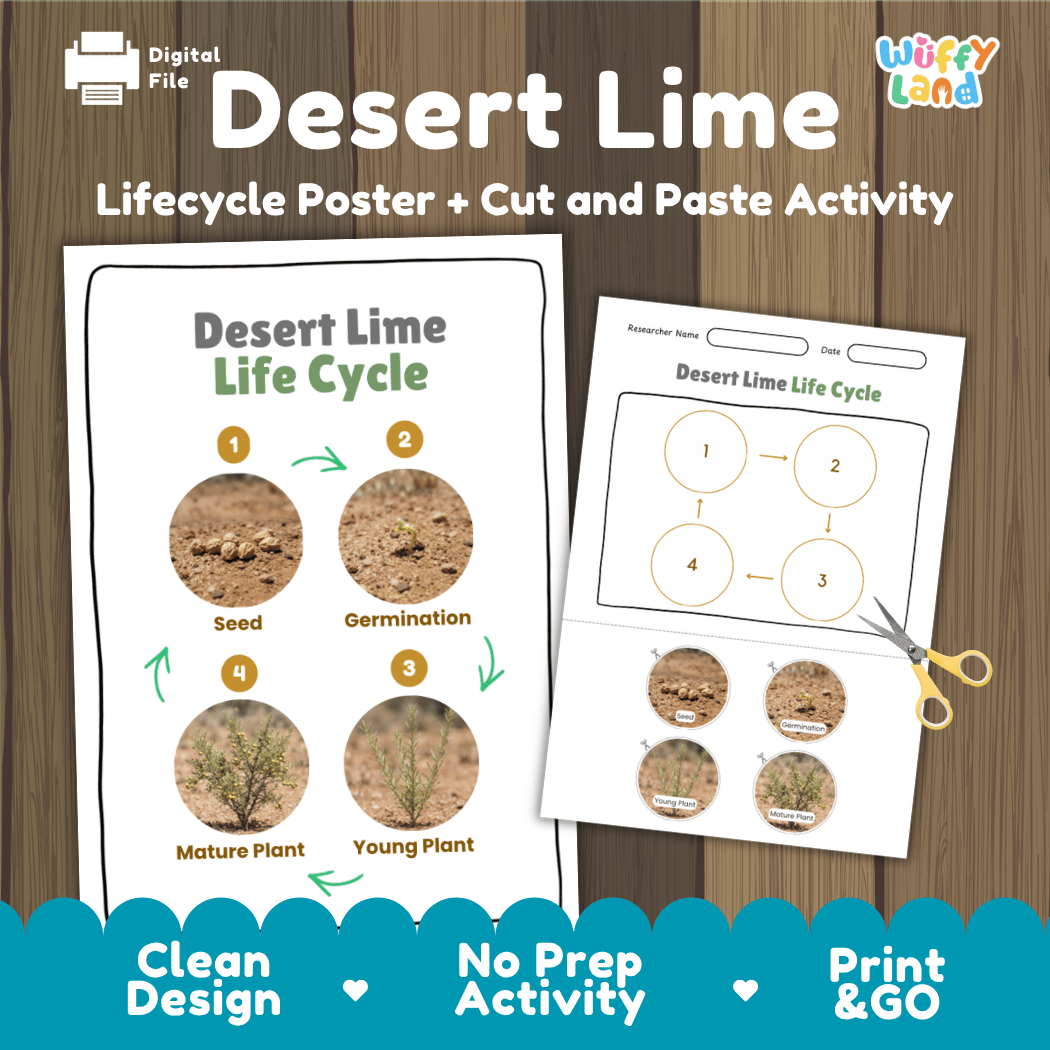 Desert Lime Life Cycle Poster and Cut and Paste Worksheet Activity