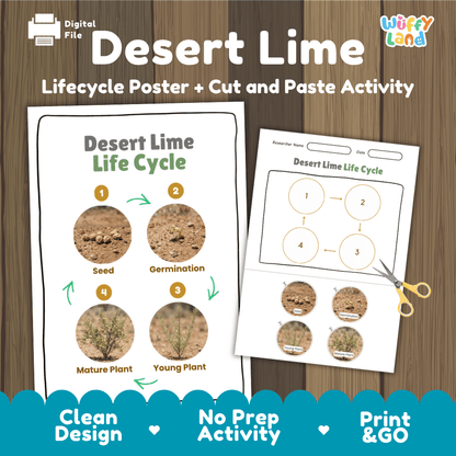 Desert Lime Life Cycle Poster and Cut and Paste Worksheet Activity