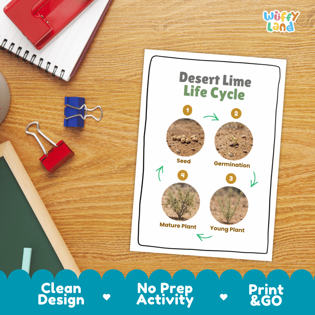 Desert Lime Life Cycle Poster and Cut and Paste Worksheet Activity