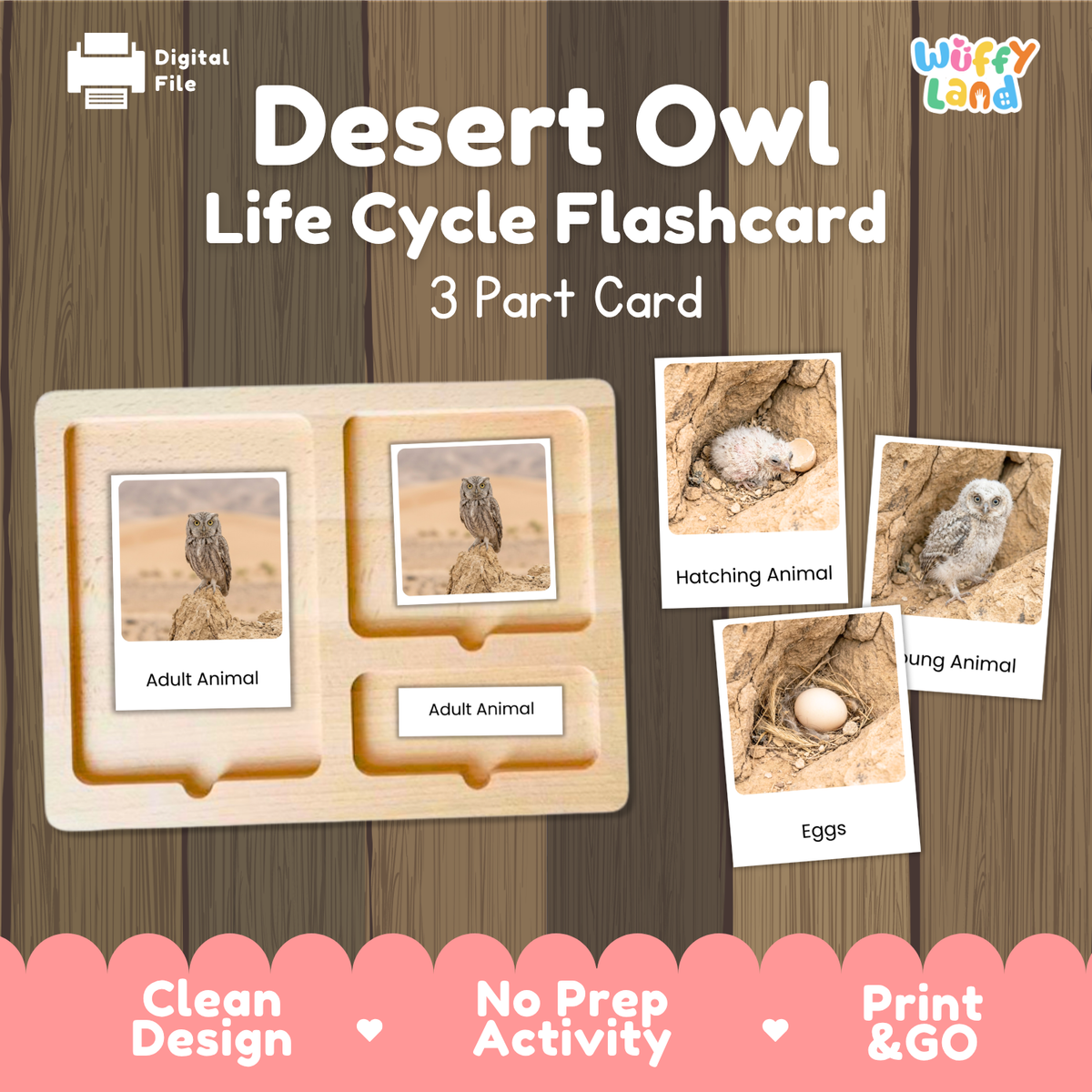 Desert Owl Life Cycle Flashcard set by Wiffy Land, featuring a wooden 3-part card tray with labeled sections for Adult Animal, Eggs, and Hatching Animal, shown on a wood-grain background with sample owl photos.