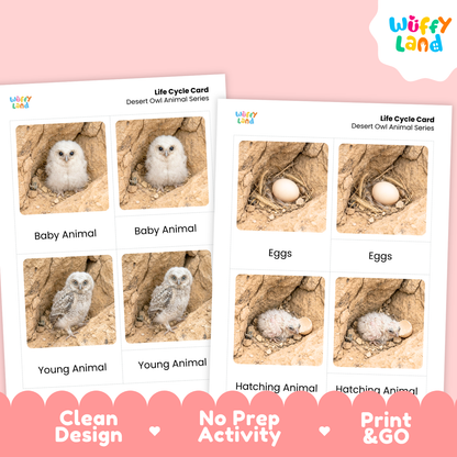 Two printed activity cards titled 'Life Cycle Card' and 'Life Cycle Card Desert Owl Animal Series' shown on a pink background. The cards feature labeled photos of owl life stages: baby animal, eggs, young animal, and hatching animal.