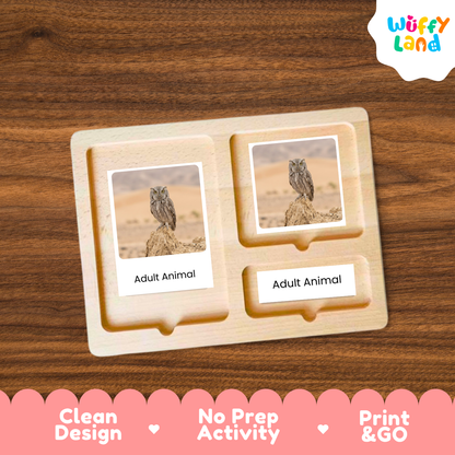 A wooden activity board with two labeled slots reading 'Adult Animal' and printed owl photos, shown on a wood-grain background. A 'Wuffy Land' logo appears in the top right, and a pink banner at the bottom reads 'Clean Design', 'No Prep Activity', and 'Print & GO'.