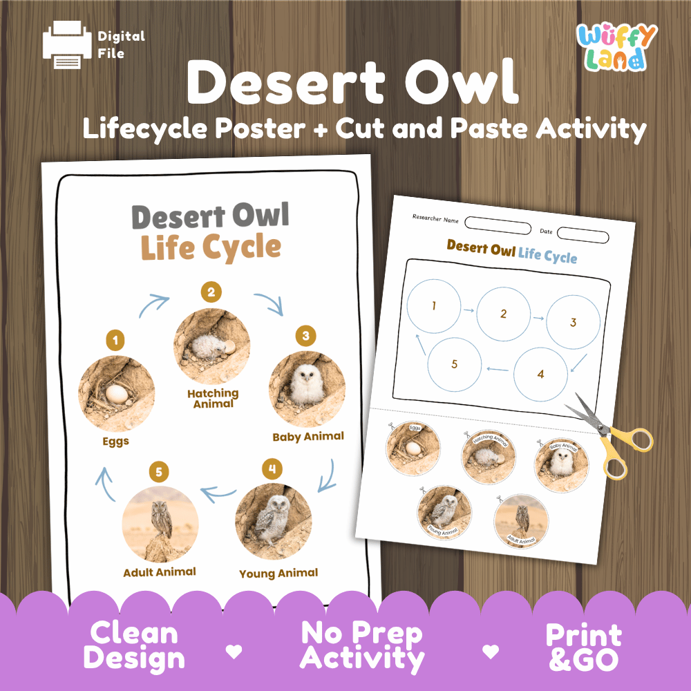Desert Owl Life Cycle Poster and Cut and Paste Worksheet Activity
