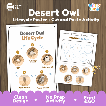 Desert Owl Life Cycle Poster and Cut and Paste Worksheet Activity