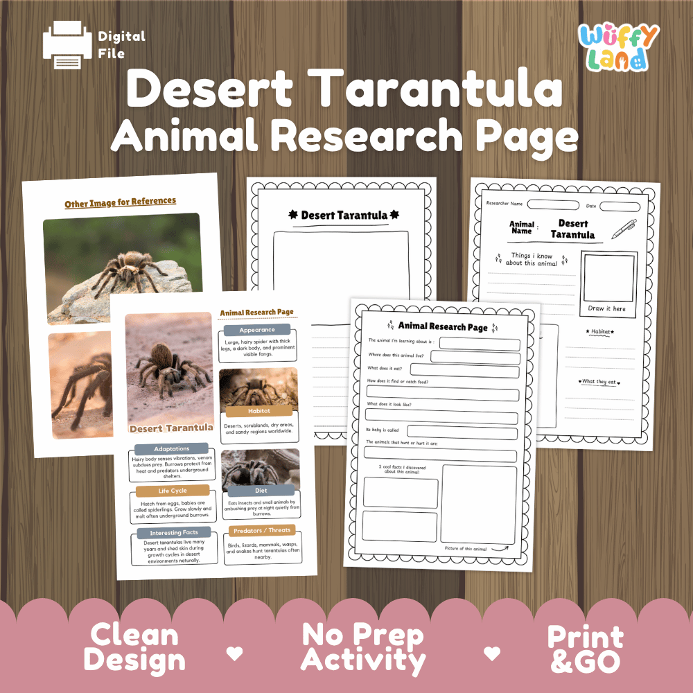 Desert Tarantula Animal Research Page and Worksheets