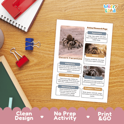 Desert Tarantula Animal Research Page and Worksheets