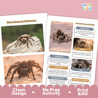 Desert Tarantula Animal Research Page and Worksheets