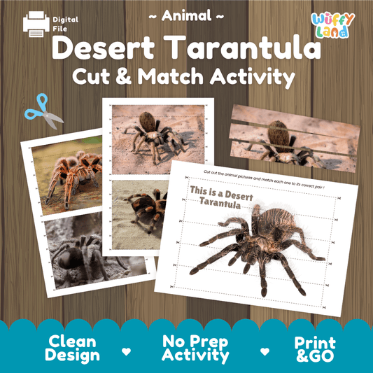 Desert Tarantula Cut and Match Activity Worksheets | Animal Puzzle Printables