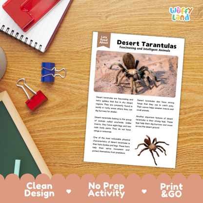 An educational activity sheet about desert tarantulas laid on a wooden desk, surrounded by office props like a spiral notebook, binder clips, and a red folder. The sheet has a headline, paragraphs of text, photos of tarantulas, and a decorative pink banner at the bottom with the text 'Clean Design', 'No Prep Activity', and 'Print & GO'.