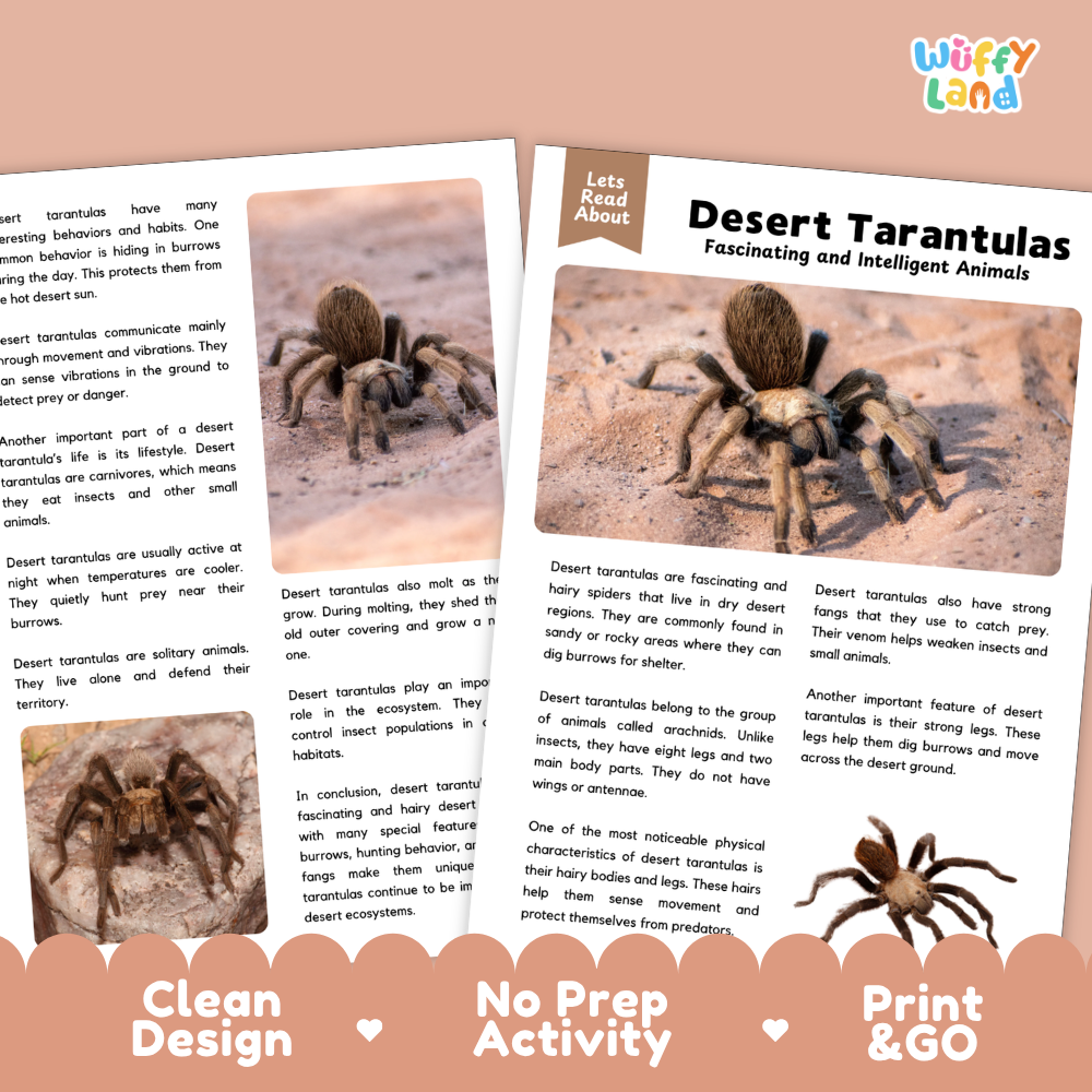 A children's educational activity sheet titled 'Let's Read About Desert Tarantulas' from the brand Wiffly Land. The sheet features a main text section, a small photo of a desert tarantula, two smaller inset images showing desert landscapes, and two printed activity tabs at the bottom labeled 'Clean Design', 'No Prep Activity', and 'Print & Go'.