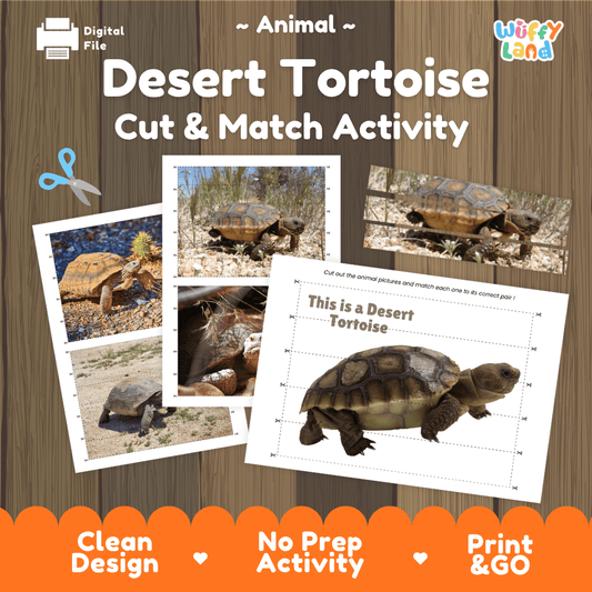 Desert Tortoise Cut and Match Activity Worksheets | Animal Puzzle Printables