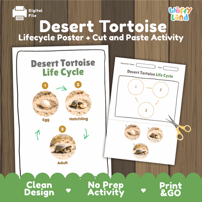 Desert Tortoise Life Cycle Poster and Cut and Paste Activity Worksheets