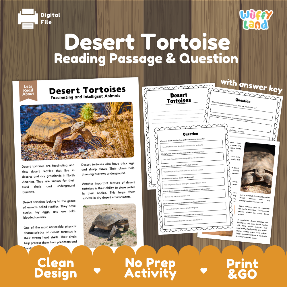 Desert Tortoise Reading Passage and Comprehension Questions Worksheets