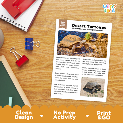 Desert Tortoise Reading Passage and Comprehension Questions Worksheets