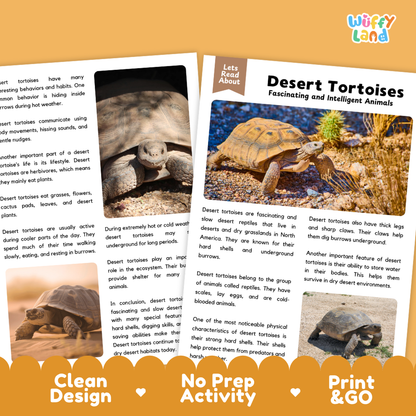 Desert Tortoise Reading Passage and Comprehension Questions Worksheets