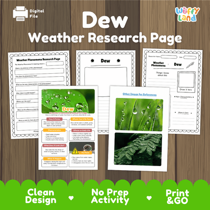 Dew Weather Phenomena Research Worksheets and Informational Fact Sheets