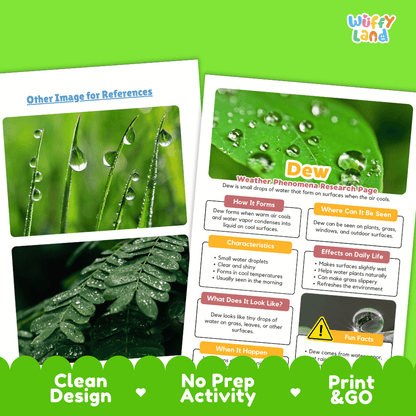 Dew Weather Phenomena Research Worksheets and Informational Fact Sheets