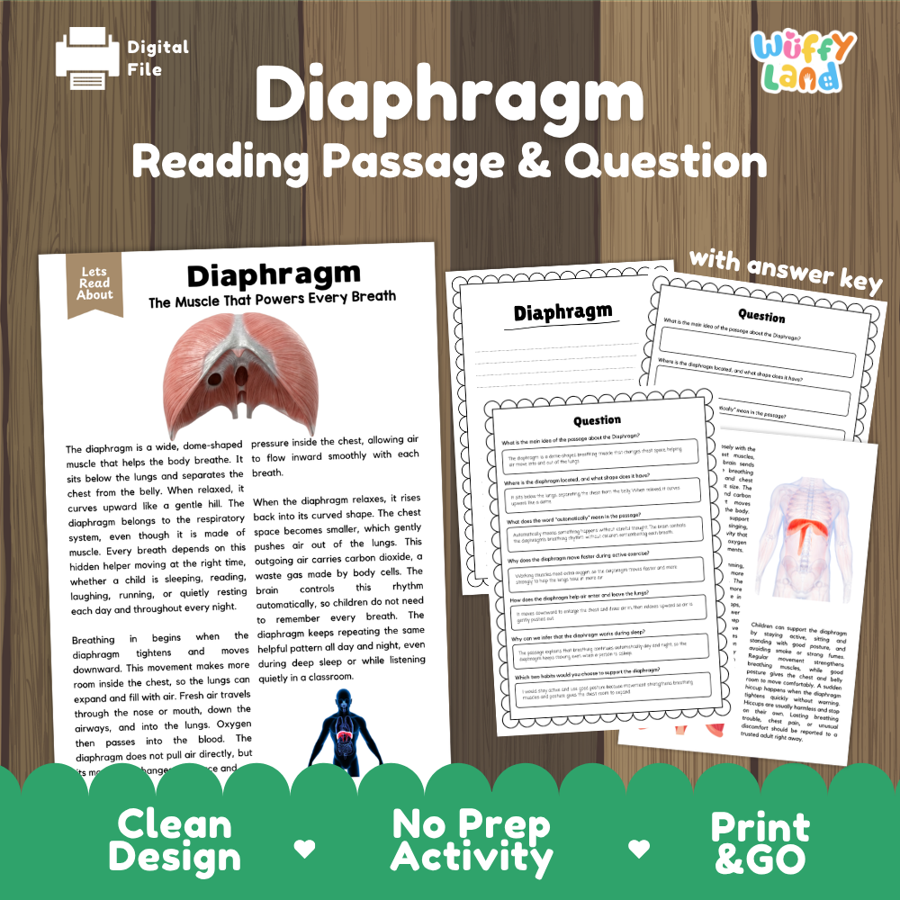 Diaphragm reading comprehension passage and questions printable activity pack with answer key for elementary students
