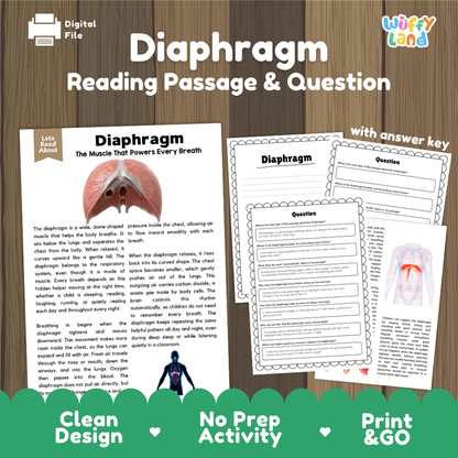 Diaphragm reading comprehension passage and questions printable activity pack with answer key for elementary students