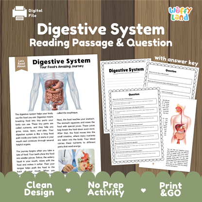 Digestive system reading comprehension passage and questions printable activity pack with answer key for elementary students