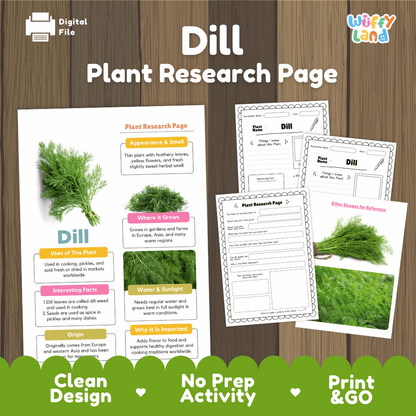 Dill Plant Research Page Worksheets and Fact Sheet