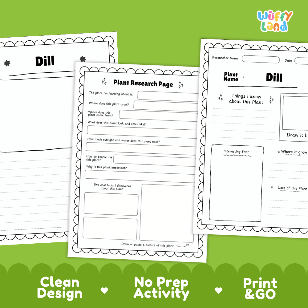 Dill Plant Research Page Worksheets and Fact Sheet
