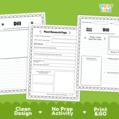 Dill Plant Research Page Worksheets and Fact Sheet