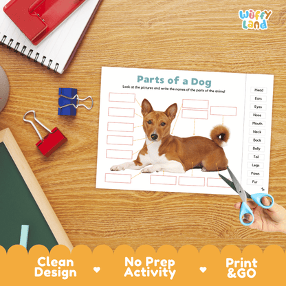Differentiated dog body parts labeling worksheets featuring fill-in write-in boxes and vocabulary word bank