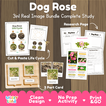 Dog rose plant 3in1 real image bundle complete study printable featuring life cycle cut and paste worksheets, Montessori 3-part cards, and research pages