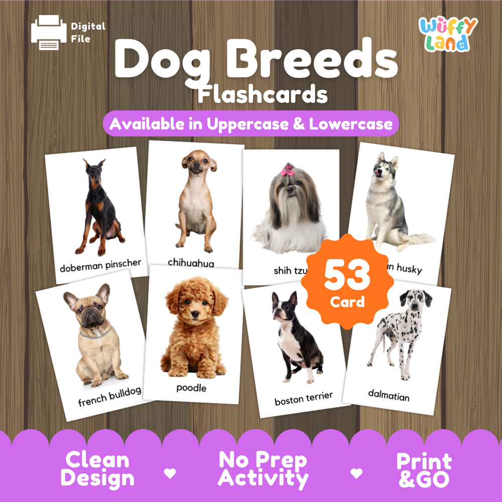 Promotional graphic for 'Dog Breeds Flashcards' by Wiffy Land, showing sample flashcard images of different dog breeds on a wood-textured background with purple banners and text indicating 53 cards.