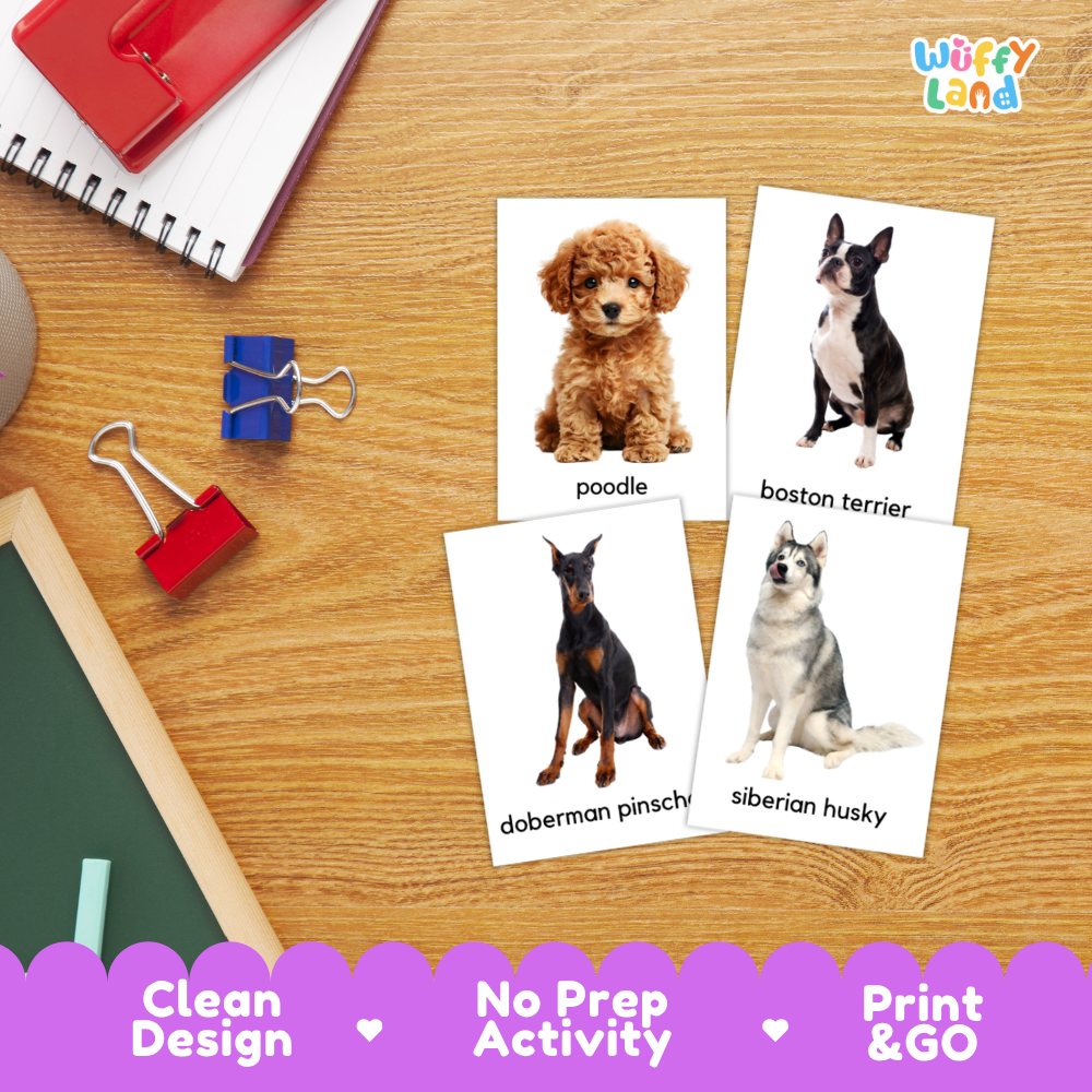Four educational dog picture cards labeled poodle, Boston terrier, Doberman pinscher, and Siberian husky arranged on a wooden desk with school supplies. The Wiffy Land logo appears in the top right, and a purple banner at the bottom reads Clean Design, No Prep Activity, and Print & GO.