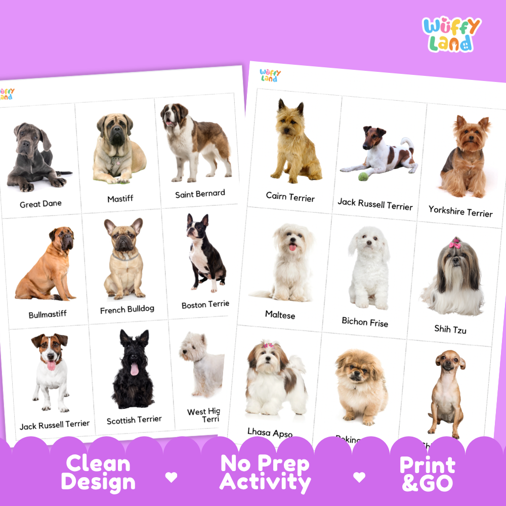 Two printed activity sheets from Wiffy Land featuring different sets of dog breed photos with labeled names, shown on a purple background with marketing text at the bottom.