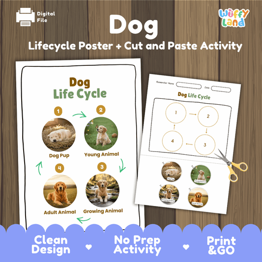 Dog life cycle sequencing reference chart and cut and paste student worksheet with 4 developmental stages
