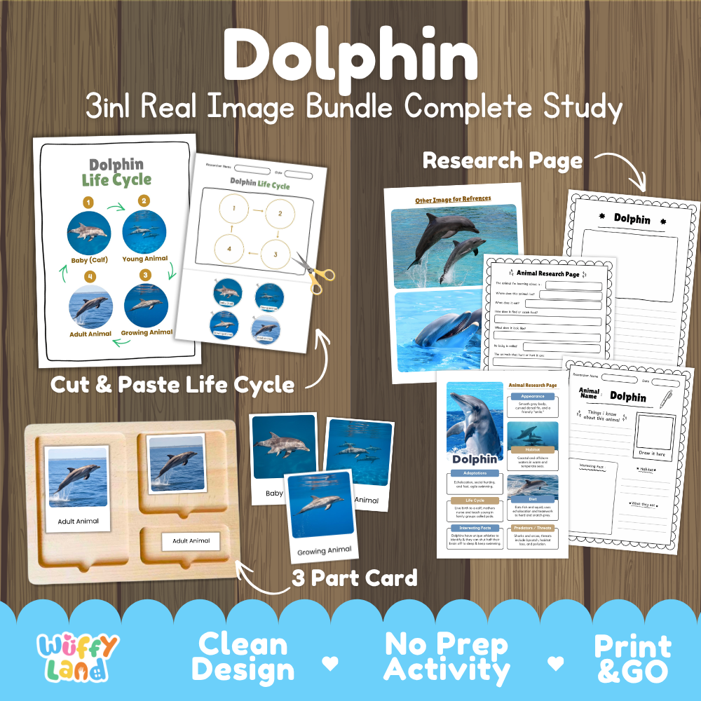 Dolphin 3-in-1 real image bundle complete study cover showing cut and paste life cycle, 3 part cards, and research pages
