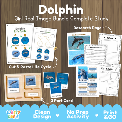 Dolphin 3-in-1 real image bundle complete study cover showing cut and paste life cycle, 3 part cards, and research pages