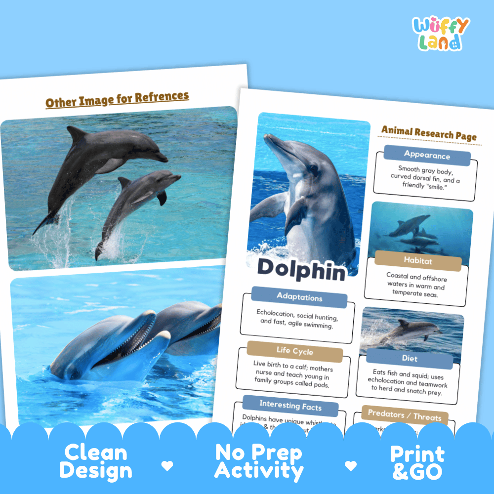 Two printed dolphin research activity sheets displayed on a light blue background, with the Uwiffy Land logo in the top right. The sheets show dolphin photos, labeled sections such as Appearance, Habitat, Adaptations, Life Cycle, and Diet, and include marketing text along the bottom: 'Clean Design,' 'No Prep Activity,' and 'Print & GO.