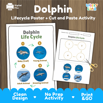 Dolphin Lifecycle Poster and Cut and Paste Activity Worksheets | Animal Science Printables