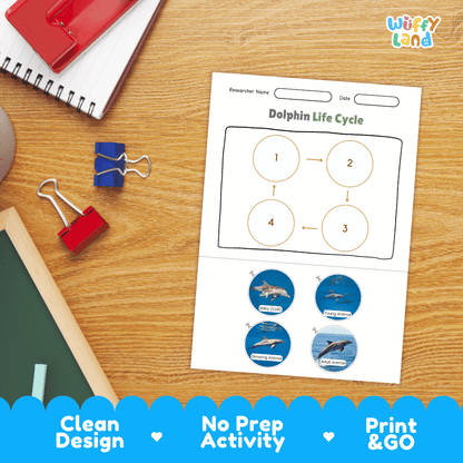 Dolphin Lifecycle Poster and Cut and Paste Activity Worksheets | Animal Science Printables