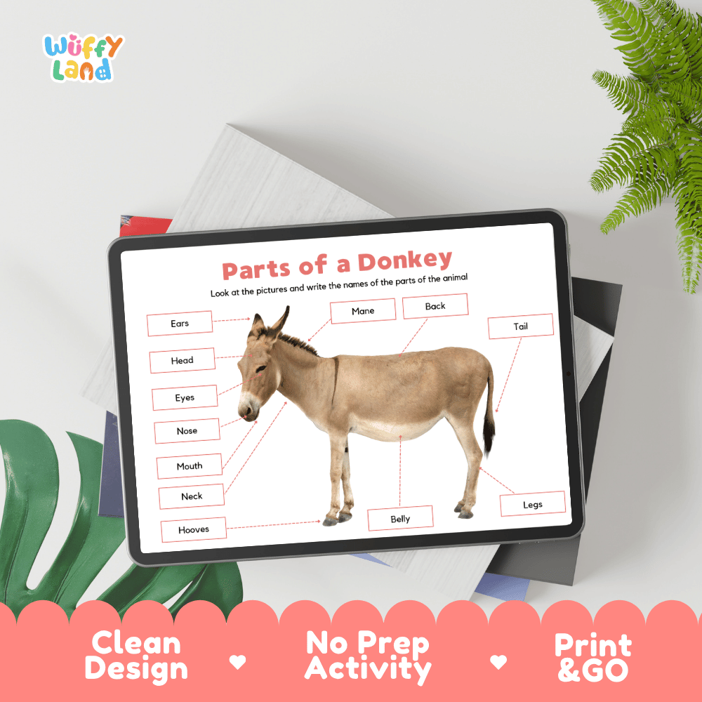 Hands-on donkey anatomy cut and paste worksheet with printable word tags, callout pointer lines, and scissors graphic