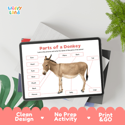 Hands-on donkey anatomy cut and paste worksheet with printable word tags, callout pointer lines, and scissors graphic