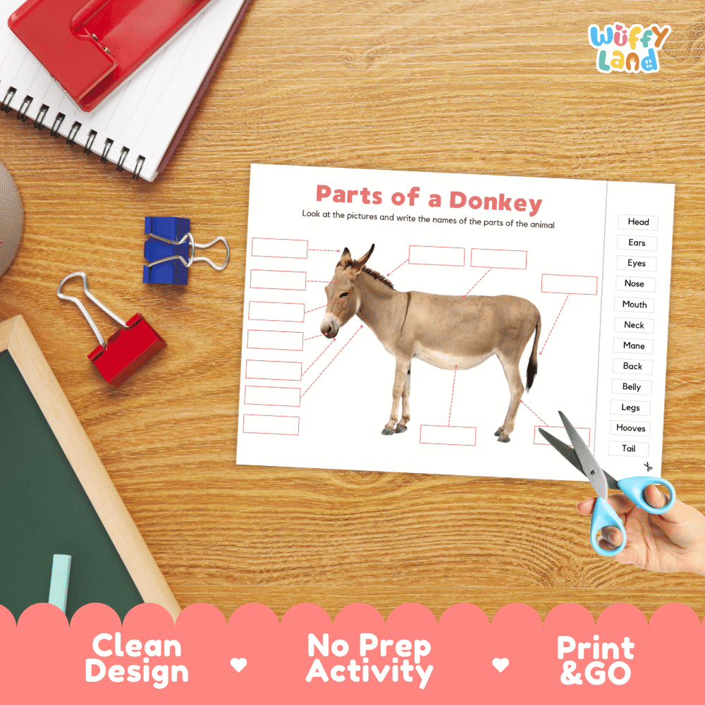 Differentiated donkey body parts labeling worksheets featuring fill-in write-in boxes and vocabulary word bank