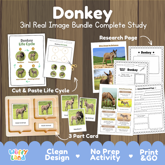 Donkey 3-in-1 real image bundle complete study cover showing cut and paste life cycle, 3 part cards, and research pages