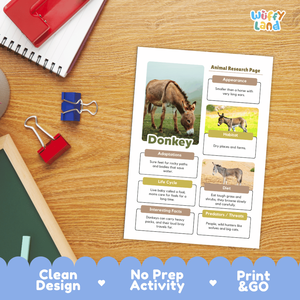An educational animal research page about donkeys printed on a white sheet, placed on a wooden desk with school supplies around it. The page includes a donkey photo, labeled sections, and the brand name 'Wiffly Land' in the top right corner.