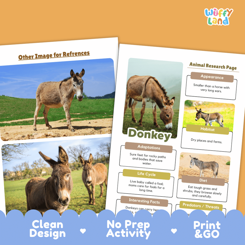 Two printed educational activity sheets about donkeys from the brand Wiffly Land, displayed on an orange background with a blue decorative banner at the bottom. The sheets feature photos of donkeys and text boxes for animal research.