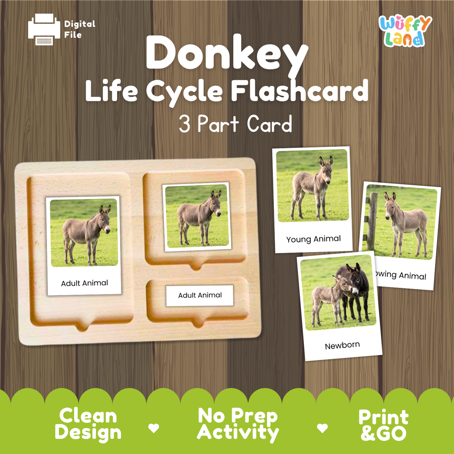 Donkey Life Cycle Flashcard set by Wiffy Land, featuring a wooden 3-part card tray and three sample animal cards showing young, adult, and newborn donkey photos on a wood-grain background.