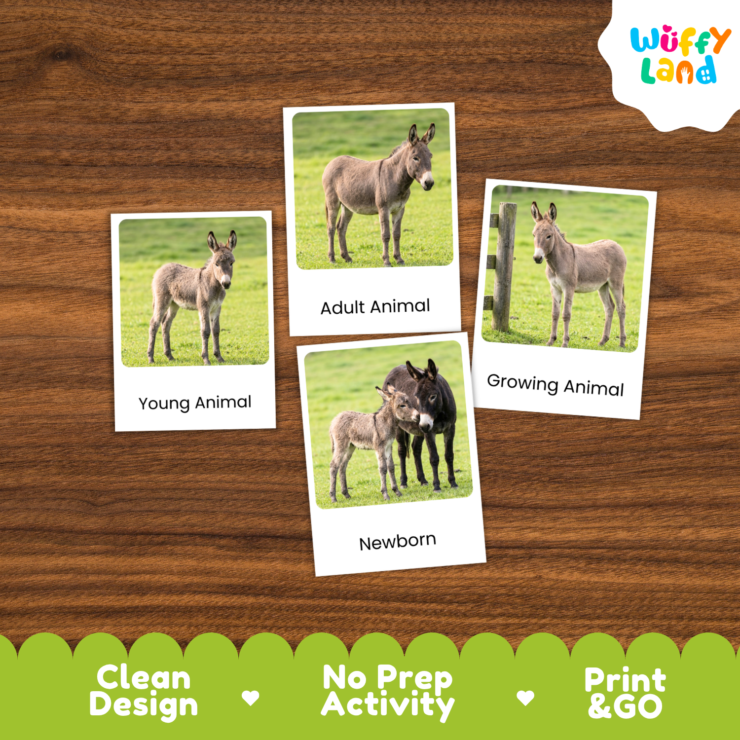 Four printed animal cards showing donkey images with labels 'Young Animal,' 'Adult Animal,' 'Growing Animal,' and 'Newborn' arranged on a brown wood surface. A 'Wuffi Land' logo appears in the top right, and a green banner at the bottom reads 'Clean Design,' 'No Prep Activity,' and 'Print & GO.