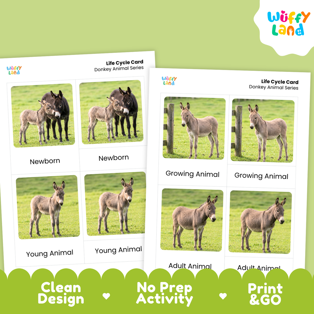 Two printed donkey life cycle cards shown on a light green background with a white cloud logo reading Wiffy Land. The cards show labeled photos of donkeys at newborn, growing, young, and adult stages, with marketing text along the bottom: Clean Design, No Prep Activity, Print & Go.